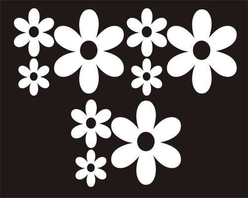 White daisy shaped flower - daisy,