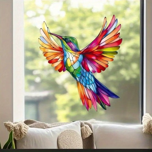 Colourful colibri window - colourful,